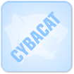 All About Cybacat - UK Corporate Web Design