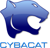 Cybacat - Uk Corporate Web Design